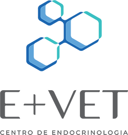 E+VET | Clínica de Endocrinologia Veterinária